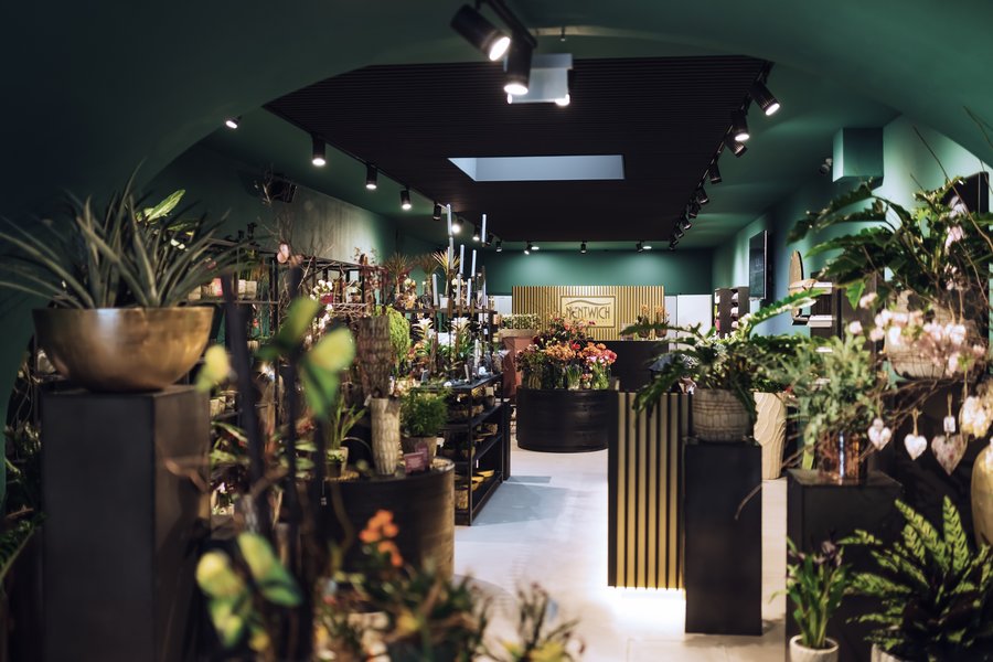 Gesamtansicht des Blumenladens mit unterschiedlichen Pflanzen in Regalen