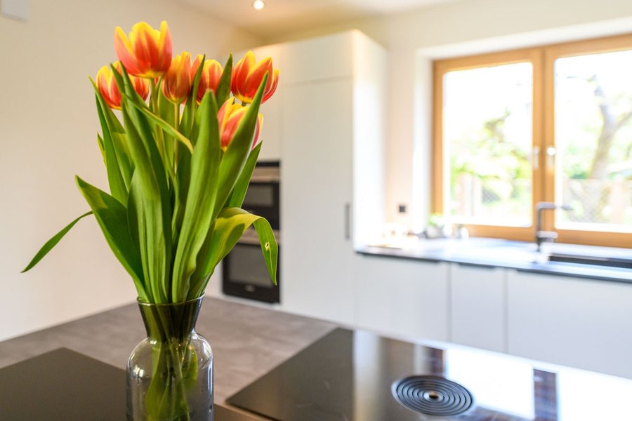 Tulpen in der Küche mit Blick aus dem Fenster