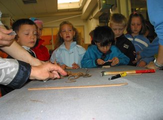  Volksschule Gerersdorf zu Besuch in unserer Werkstatt